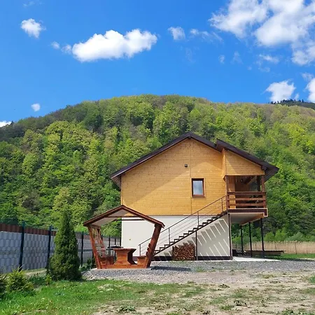 файний будинок בית נופש Mizhhirya (Transcarpathia)